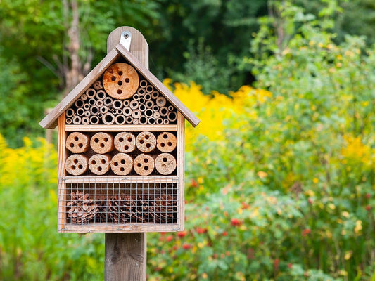 How to Store Honey the Right Way
