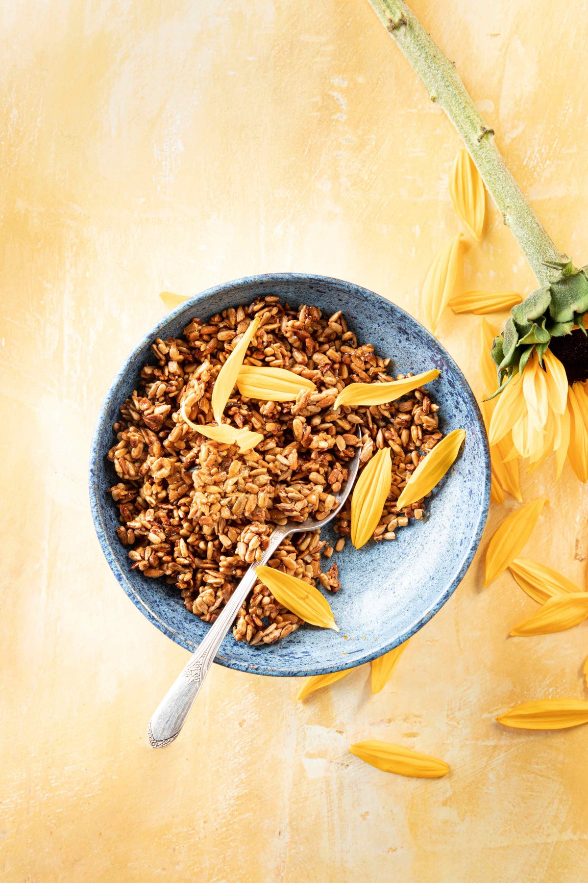 Candied Sunflower Seed Snack