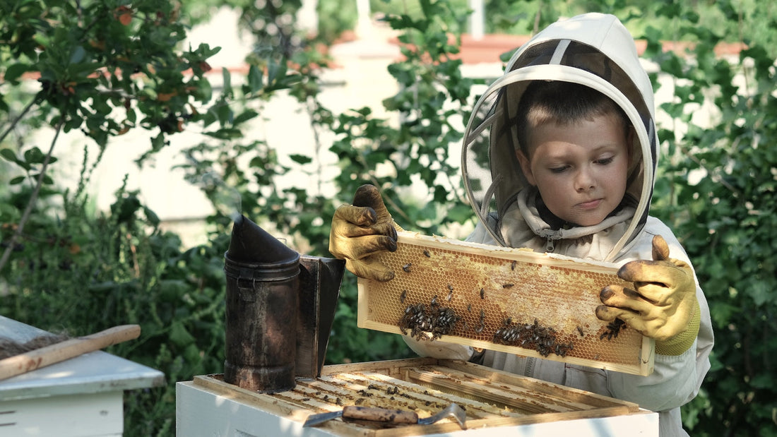 Local vs. Global Honey