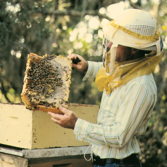 History of Honey & Beekeeping