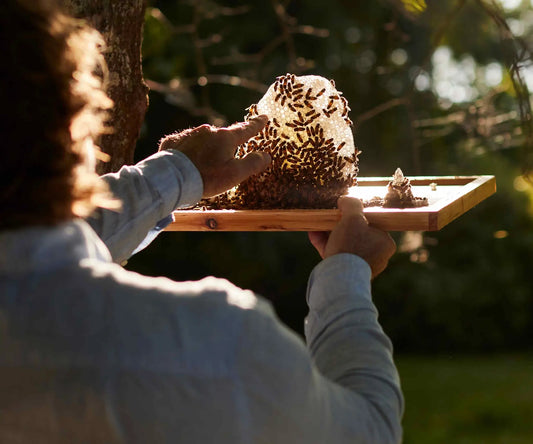 The Ultimate Guide to Raw Honey