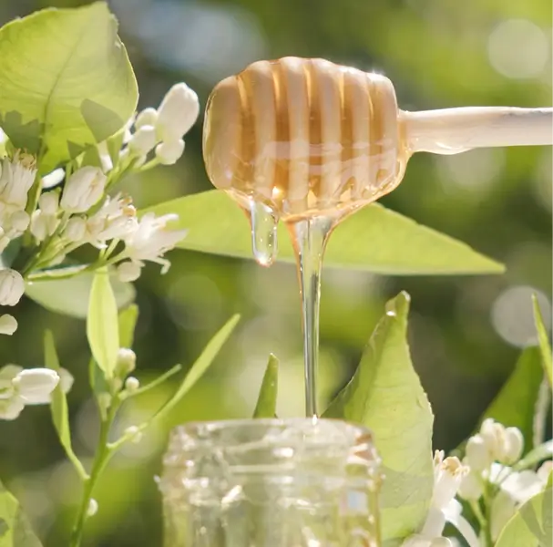 Honey & Throat Health
