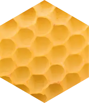 Propolis