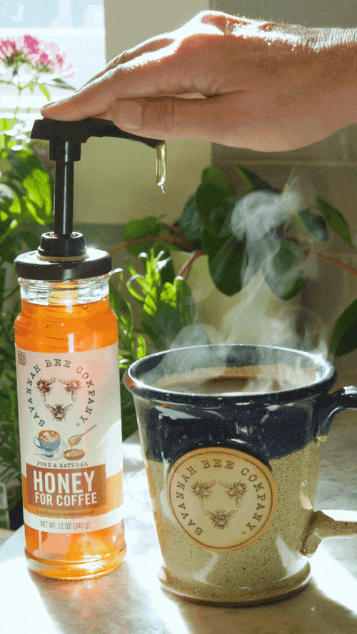 Small Pump for 12oz Honey (not meant for Whips)