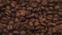 Queen's Caffeine Gift Set